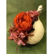 東京都目黒区Ｆｌｏｒｉｓｔ　ＩＴＯの花　【世にも珍しい　】ブッダナッツ  - L