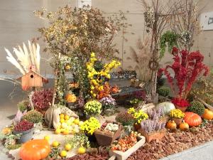 毎年恒例！！秋の装飾｜「Ｆｌｏｒｉｓｔ　ＩＴＯ」　（東京都目黒区の花キューピット加盟店 花屋）のブログ