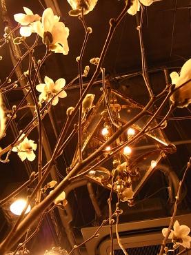 白もくれんﾊﾞﾀﾌﾗｲ｜「Ｆｌｏｒｉｓｔ　ＩＴＯ」　（東京都目黒区の花キューピット加盟店 花屋）のブログ