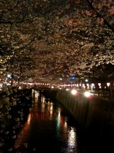 目黒川の夜桜❀｜「Ｆｌｏｒｉｓｔ　ＩＴＯ」　（東京都目黒区の花キューピット加盟店 花屋）のブログ